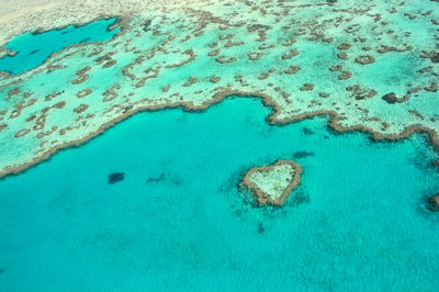 Count down is on to the Great Barrier Reef Festival cover