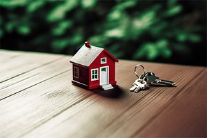 Glenorchy Property Market Update 1st Half 2024 cover