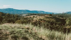 Gundagai Property Market Update 2nd Half 2025 cover