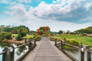 Robina Property Market Update 2nd Half 2024 cover