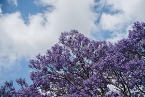 Nundah Property Market Update 2nd Half 2024 cover