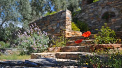 4 Gardening Design Tips Before Selling Your Property cover