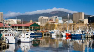 Hobart Property Market Update 1st Half 2025 cover
