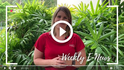 WHITSUNDAY E-NEWS REAL ESTATE: 3rd week of Feb cover
