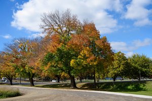 Kyneton Property Market Update 1st Half 2026 cover