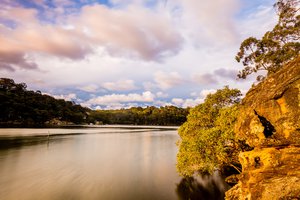 Oatley & Surrounds Property Market Update 2nd Half 2025 cover