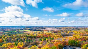 Orange Property Market Update 1st Half 2024 cover