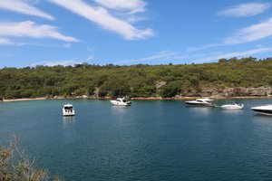 Panania Property Market Update 2nd Half 2025 cover