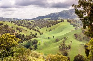 Upper Hunter Property Market Update 1st Half 2025 cover