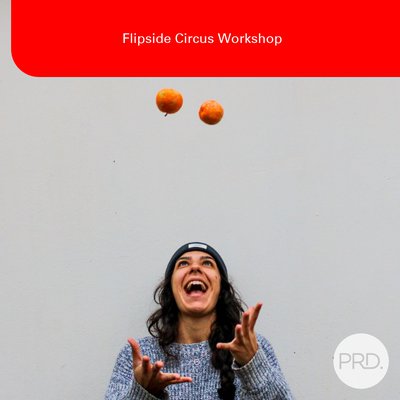 Flipside Circus Workshop cover